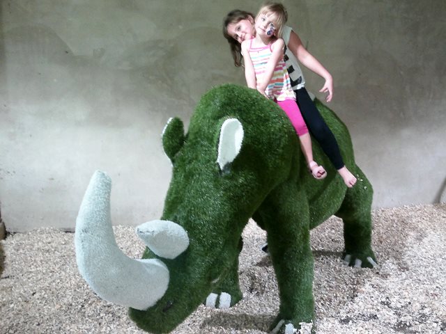 Rhino ride